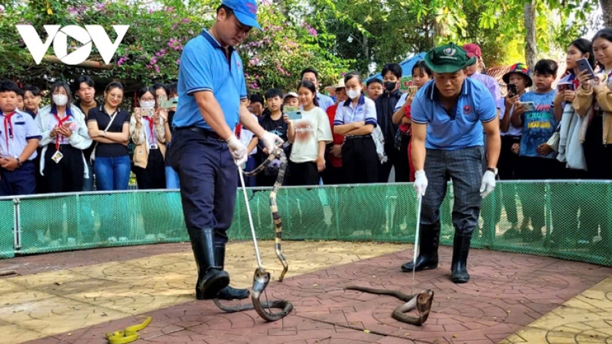 Dong Tam Snake Farm offers first-hand experience to visitors